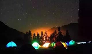 撒野讲的一个什么故事 撒野讲的一个什么故事